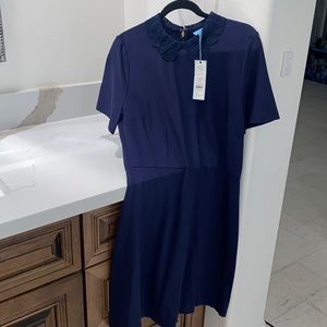 Lace Collar Navy Dress